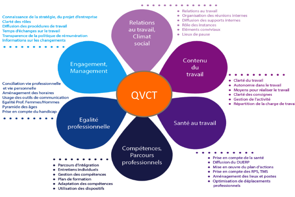 Tout Savoir Sur La Qvct Ou Presque Univers Co